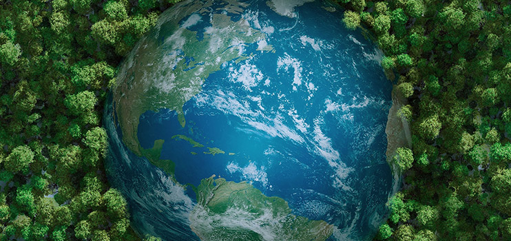 Coloray sa aktívne podieľa na príčine globálnej ochrany životného prostredia.